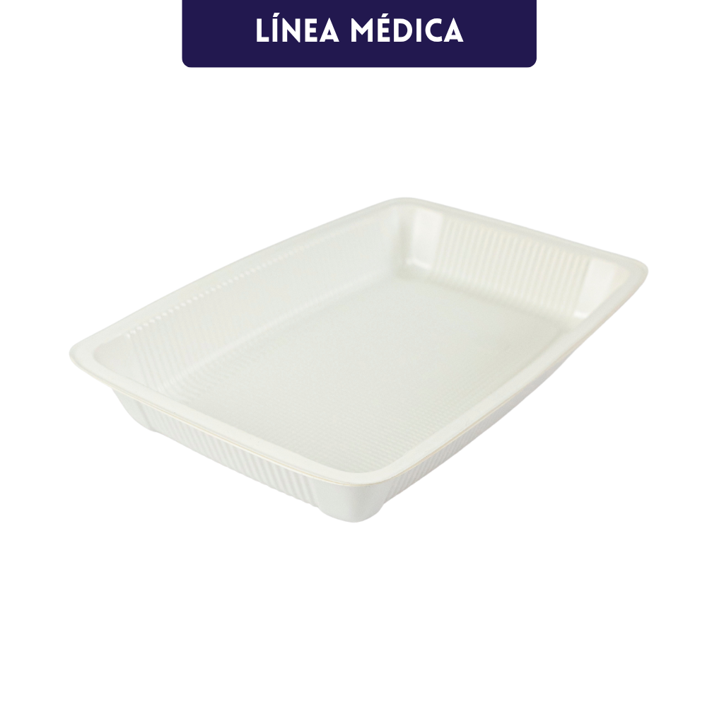 Plato Principal